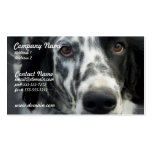 English Setter Dog Business Card