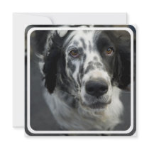 English Setter Dog Invitation