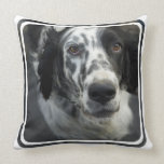 English Setter Dog Pillow