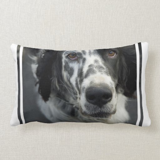 English Setter Dog Pillow