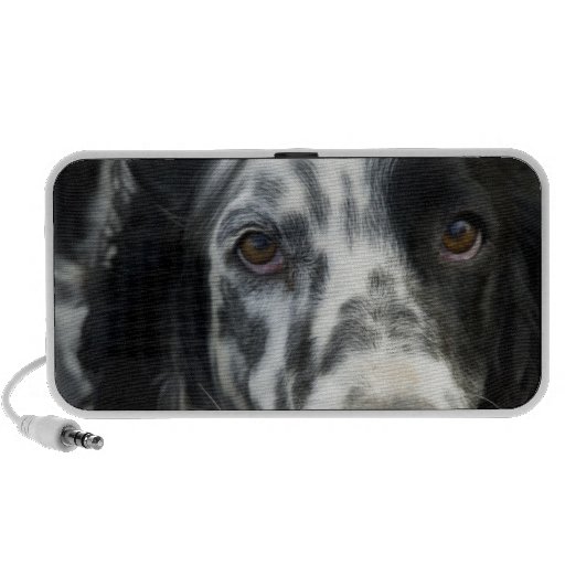 English Setter Dog Portable Speakers