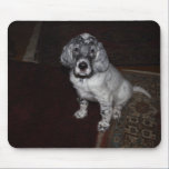 English Setter mousepads