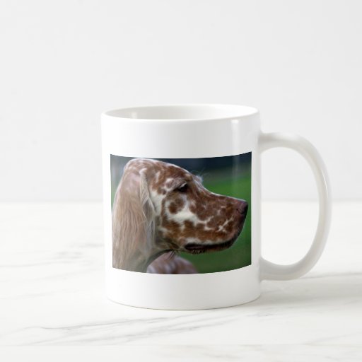 English Setter Mugs Zazzle