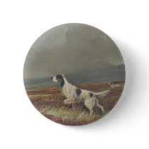 English Setter On Moorland Button