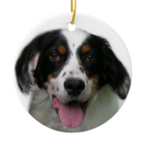 English Setter Ornament