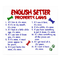 ENGLISH SETTER PL2 posters by poochloverstuff ENGLISH SETTER PL2 posters