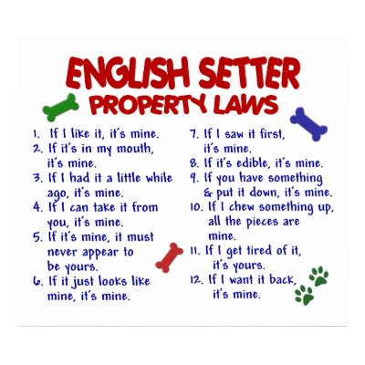 ENGLISH SETTER PL2 POSTERS by poochloverstuff