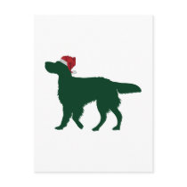 English Setter postcards