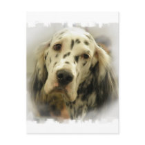 English Setter Postcard