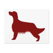 English Setter (Red) postcards by purelypups English Setter (Red) postcards