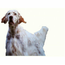 english setter sculpture photo cutout