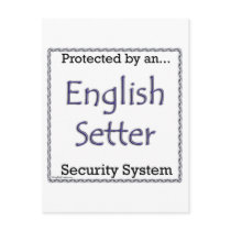 English Setter Security System postcards by GreyWolfCreation English Setter Security System postcards