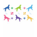 English Setter T-Shirts