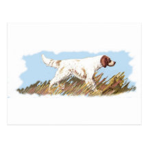 English Setter With Bird Post Cards
