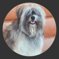English Sheep Dog Pet-lover's Stickers stickers