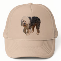 English Sheepdog hats