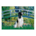 English Springer 7 - Bridge cards