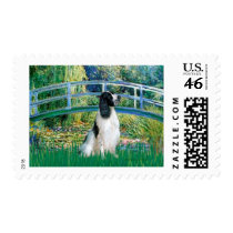 English Springer 7 - Bridge Stamp