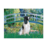 English Springer 7 - Bridge Post Card
