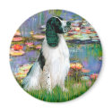 English Springer 7 - Lilies 2 magnets