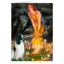 English Springer 7 - MidEve Cards