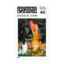 English Springer 7 - MidEve Postage