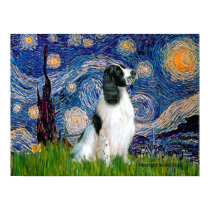 English Springer 7 - Starry Night posters