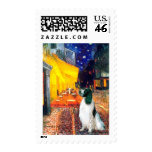 English Springer 7 - Terrace Cafe postage