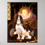 English Springer (Liv) - Queen Poster