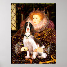 English Springer (Liv) - Queen Poster