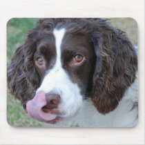English Springer Mousepad by NormaJean35 English Springer Mousepad