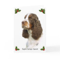 English Springer Spaniel 8M15D-05 cards by mtrafford English Springer Spaniel 8M15D-05 cards