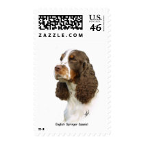 English Springer Spaniel 8M15D-05 Stamp