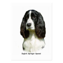 English Springer Spaniel 9J37D-20 business cards by TraffordPhotos English Springer Spaniel 9J37D-20 business cards