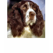 English Springer Spaniel Art Gifts Apparel