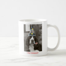 English Springer Spaniel Birthday Mug