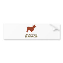 English Springer Spaniel bumper stickers by Pawdboy English Springer Spaniel bumper stickers