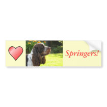 English Springer Spaniel bumper stickers by catchthenextwave English Springer Spaniel bumper stickers