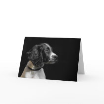 English Springer Spaniel cards by cARTerART English Springer Spaniel cards