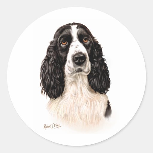 English Springer Spaniel Classic Round Sticker | Zazzle