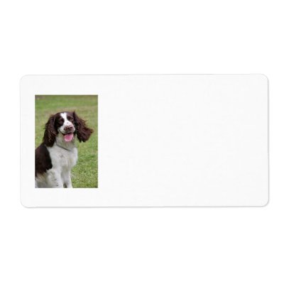 English Springer Spaniel dog address labels