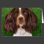 English Springer Spaniel Dog Art - Major Cards
