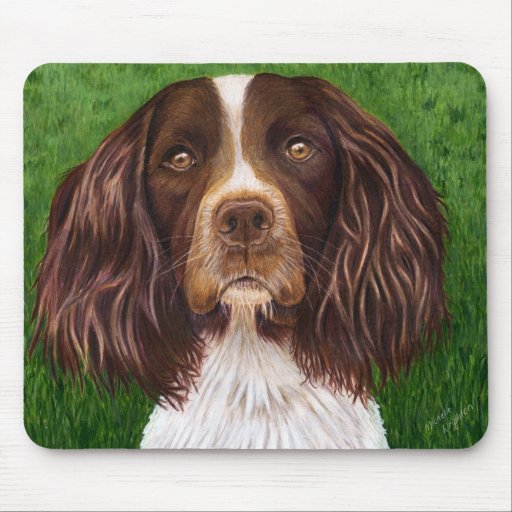 English Springer Spaniel Dog Art - Major Mouse Pads