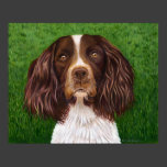 English Springer Spaniel Dog Art - Major Posters