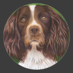 English Springer Spaniel Dog Art - Major Round Sticker