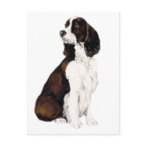 English Springer Spaniel Dog Art Postcard by CharlottesWebArt English Springer Spaniel Dog Art Postcard