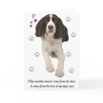 English Springer Spaniel Dog cards