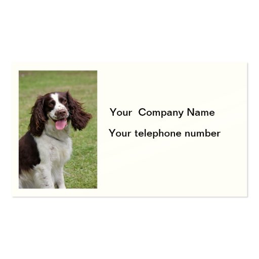 English Springer Spaniel dog photo business card (front side)