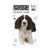 English Springer Spaniel Dog Postage