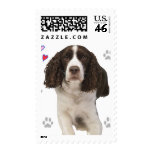 English Springer Spaniel Dog postage
